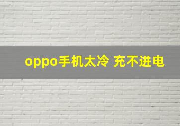 oppo手机太冷 充不进电